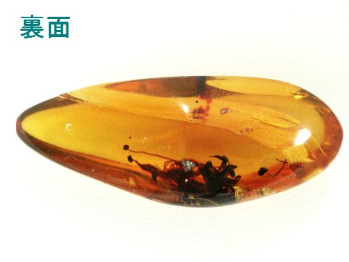 A߃Ao[ h~jJY 15ct (11)