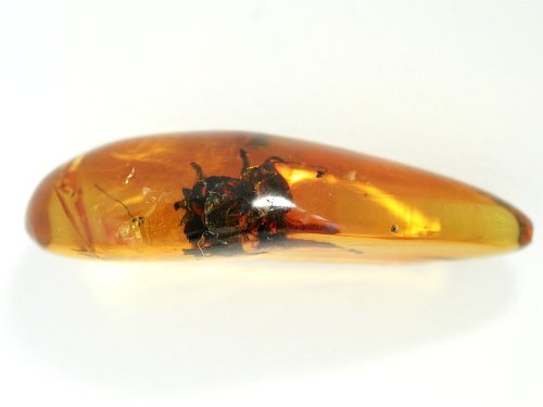 A߃Ao[ h~jJY 15ct (11)