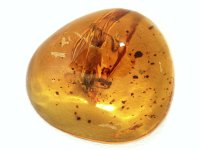 ߃Ao[<br> h~jJY 26.45ct (14)