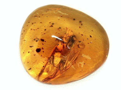 ߃Ao[ h~jJY 26.45ct (14)