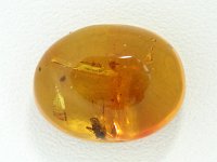 ߃Ao[<br> h~jJY 6.4ct (4)