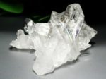 NX^[<br>A[J\[155g(72)