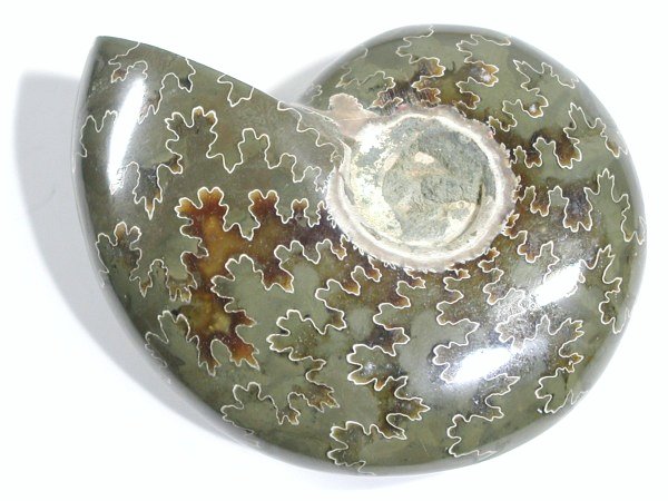 AiCg 80g (19)