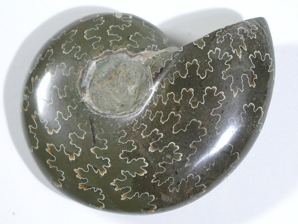 AiCg 80g (19)