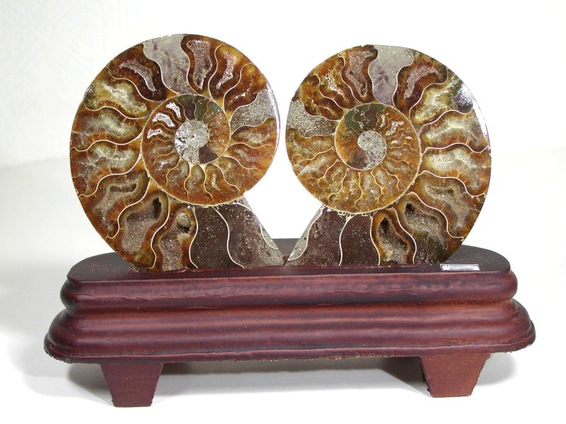 AiCg (503-110) 315g