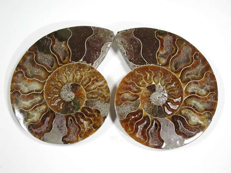 AiCg (503-110) 315g