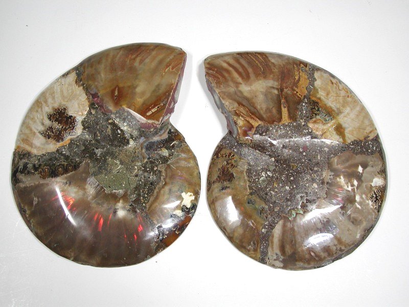 AiCg 828g (501-108)