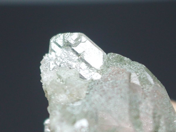 �O�C���f���N�H�[�c �X�C�X�E�A���v�X���� 9.5g (28G6)