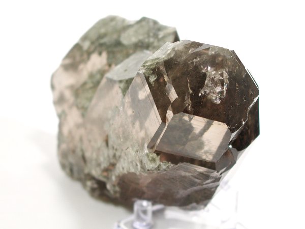 �O�C���f���N�H�[�c �X�C�X�E�A���v�X���� 878g (*34-92)