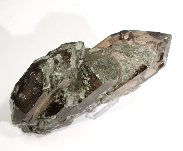 �O�C���f���N�H�[�c �X�C�X�E�A���v�X���� 878g (*34-92)