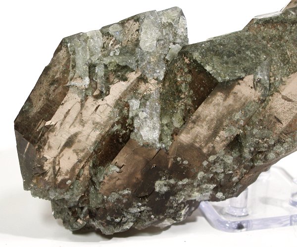 �O�C���f���N�H�[�c �X�C�X�E�A���v�X���� 878g (*34-92)