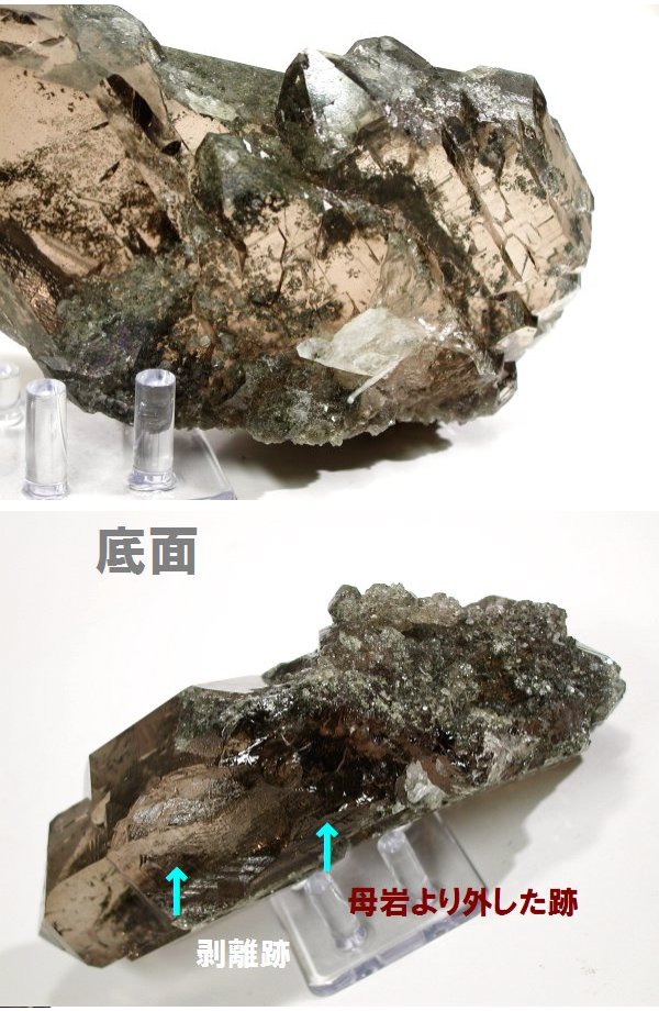 �O�C���f���N�H�[�c �X�C�X�E�A���v�X���� 878g (*34-92)