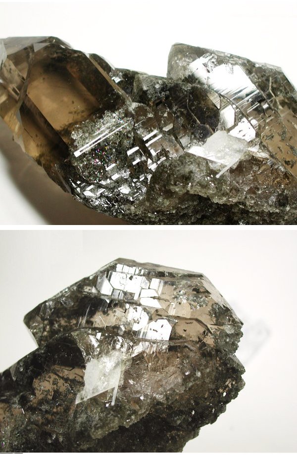 �O�C���f���N�H�[�c �X�C�X�E�A���v�X���� 878g (*34-92)