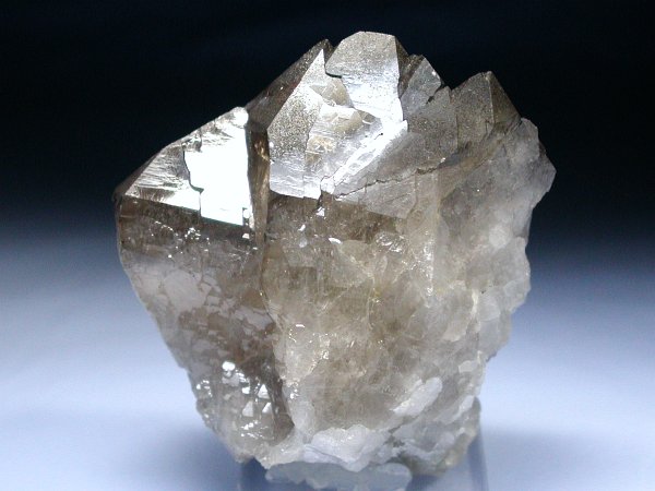 �X���[�L�[�N�H�[�c�O�C���f�� �X�C�X�A���v�X���� 231g (55)