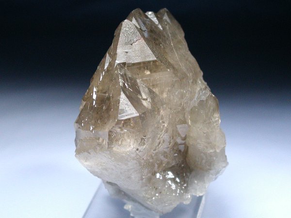 �X���[�L�[�N�H�[�c�O�C���f�� �X�C�X�A���v�X���� 231g (55)