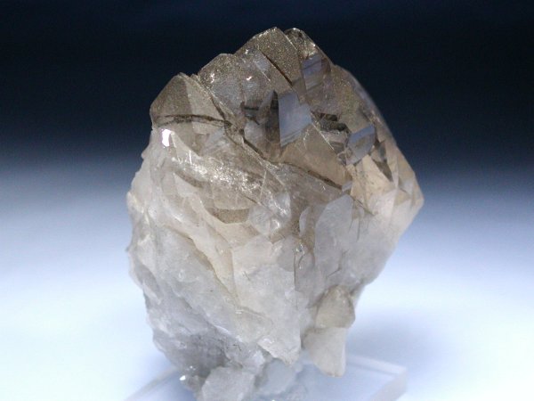 �X���[�L�[�N�H�[�c�O�C���f�� �X�C�X�A���v�X���� 231g (55)