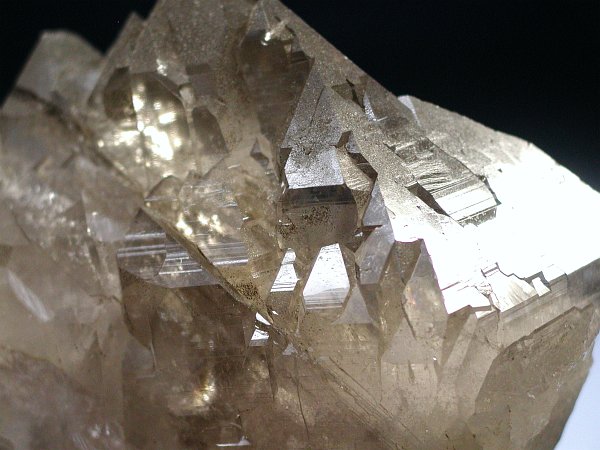 �X���[�L�[�N�H�[�c�O�C���f�� �X�C�X�A���v�X���� 231g (55)