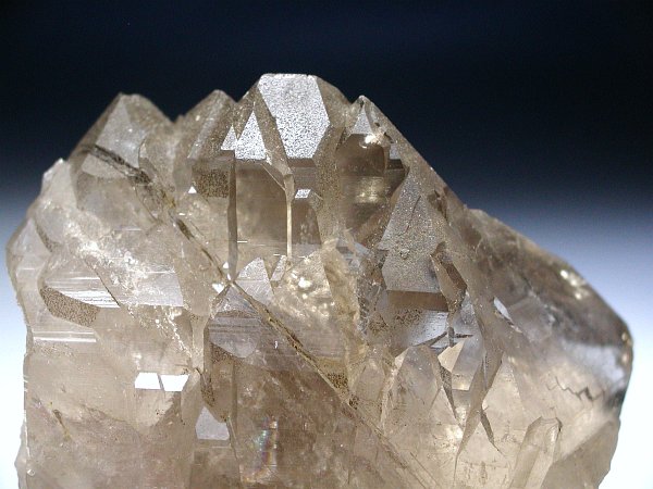 �X���[�L�[�N�H�[�c�O�C���f�� �X�C�X�A���v�X���� 231g (55)