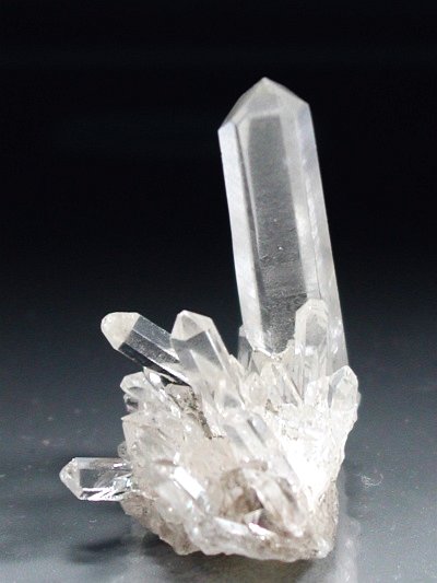}J[Yq}NX^[ 14g (1)