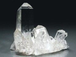 }J[Yq}<br>NX^[ 75g (5)