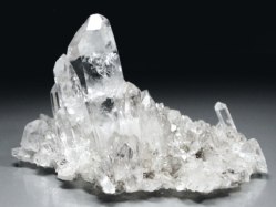 }J[Yq}<br>NX^[ 181g (8)