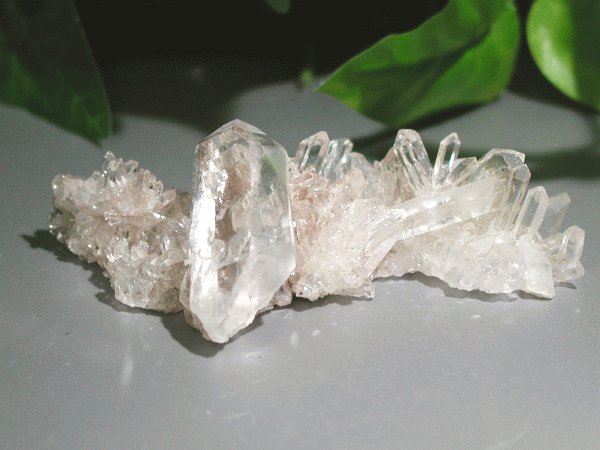 }J[Yq}NX^[ 49g (37)
