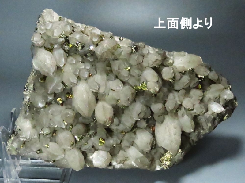 zSz zRY 2370g (335)