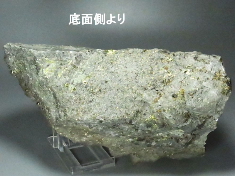 zSz zRY 2370g (335)