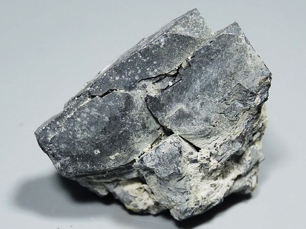 zz zRY 100g (252)