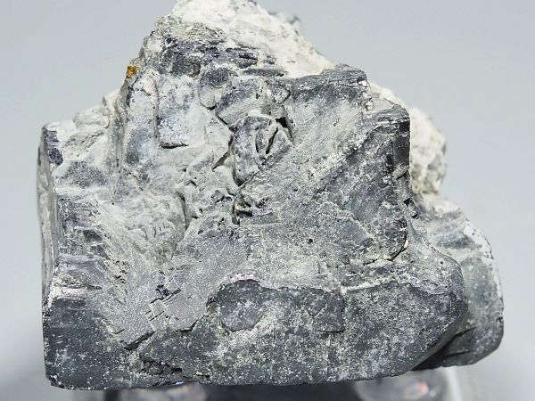 zz zRY 100g (252)