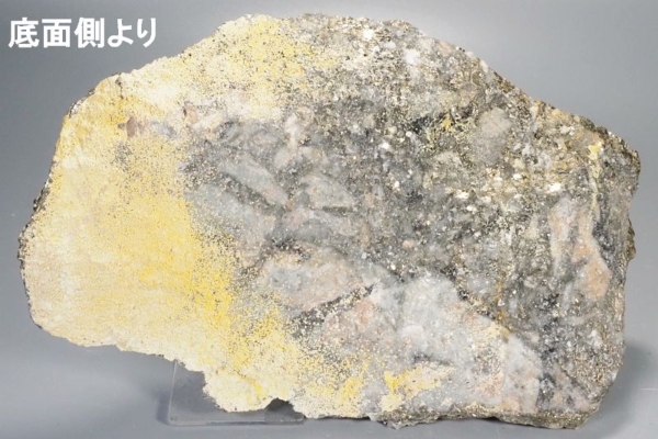 SzH}KzzMz zRY 1250g (371)