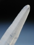 A<br>(452)30g