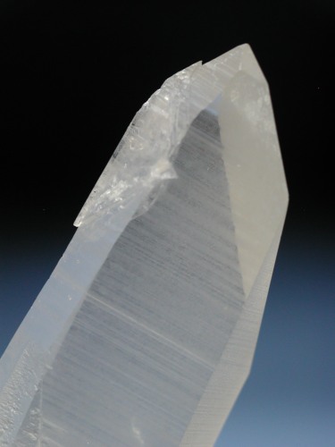 A(456)85g
