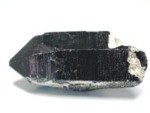 NX^[159g<br>RȎY(172)