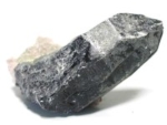 NX^[200g<br>RȎY(174)