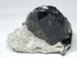 NX^[115g<br>RȎY(217)