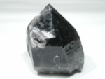 NX^[150g<br>RȎY(231)