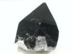 INX^[<br>RȎY321g(259)