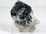 INX^[<br>RȎY117g(301)