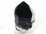 INX^[<br>RȎY364g(311)