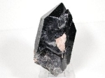 INX^[<br>RȎY516g(318)