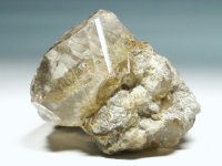 E/pmNY<br>`Ej<br> 51g (RU74)