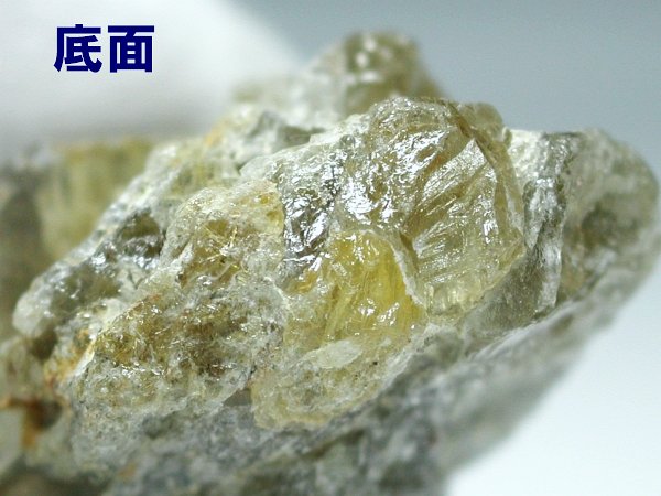 E/pmNY`Ej 51g (RU74)