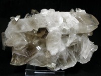 E/x]tXRGY<br>Ȃ萅<br> 490g (RU32)