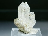 E/YgEXgY<br>JTCgt@g<br> 21g (RU53)