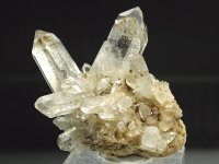 E/YgEXgY<br>JTCgt@g<br> 50g (RU71)