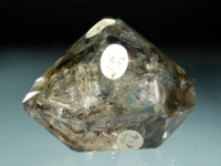 XCX AvX<br>GX`(17-36)