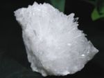 j[hNX^[<br>XCXAvX<br> 206g (26G8-9)
