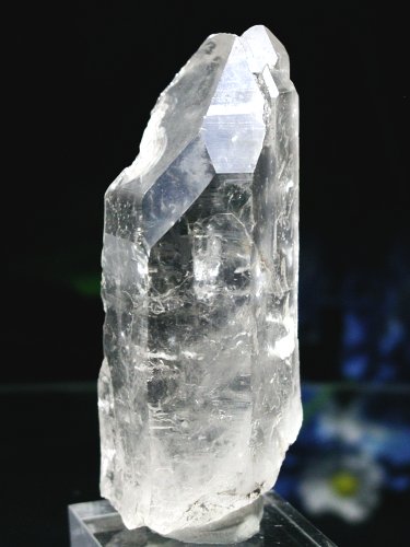 ��(���C�g�j���O)����