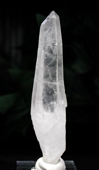 ���C�g�j���O�N�H�[�c ������ g ()